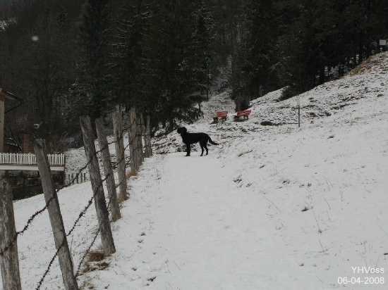 IMG_2410